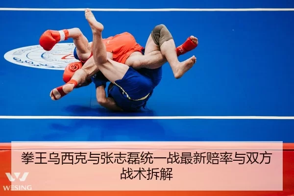拳王乌西克与张志磊统一战最新赔率与双方战术拆解